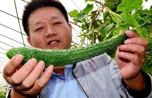 生鮮食材配送為什么大多不能與客戶建立長(zhǎng)期合作？